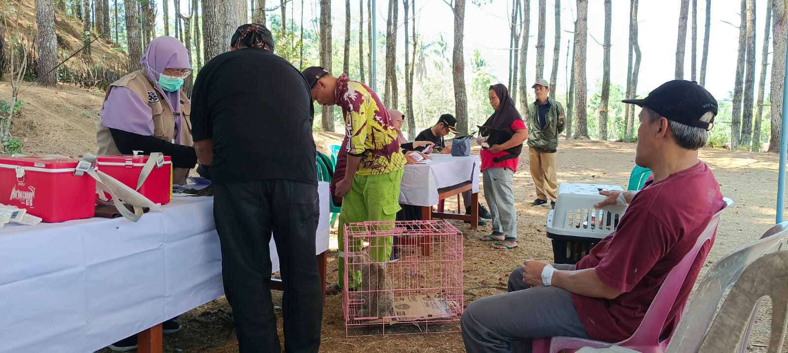 Gambar Berita